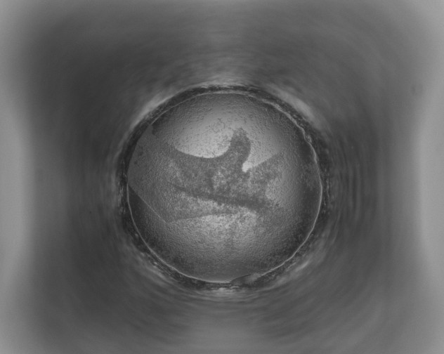 X0000111031160200907021532