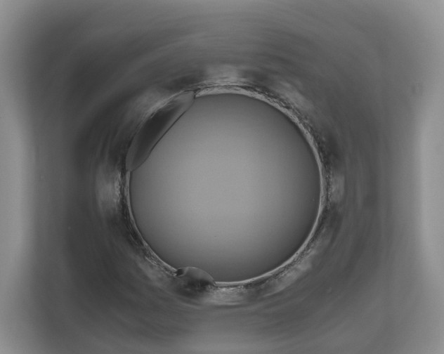 X0000111031161200907021532