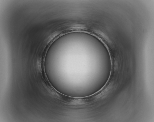 X0000111031162200907021532