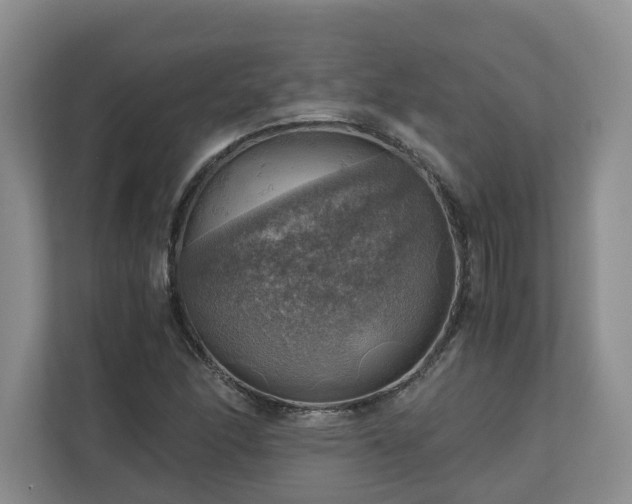 X0000111031166200907021532