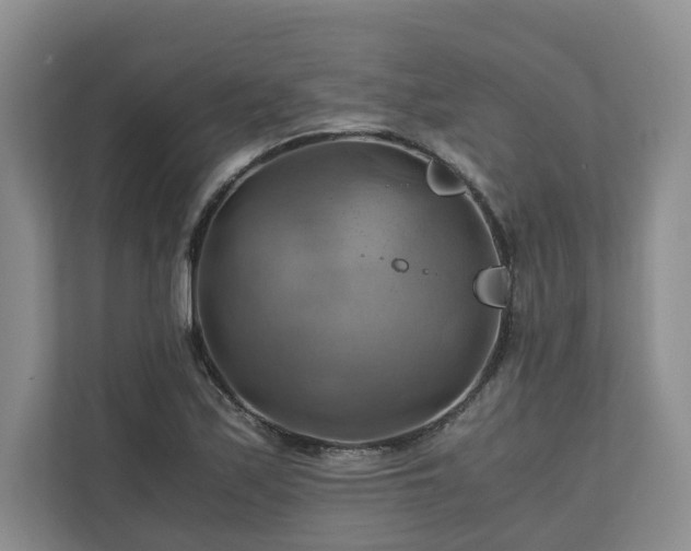 X0000111031171200907021532