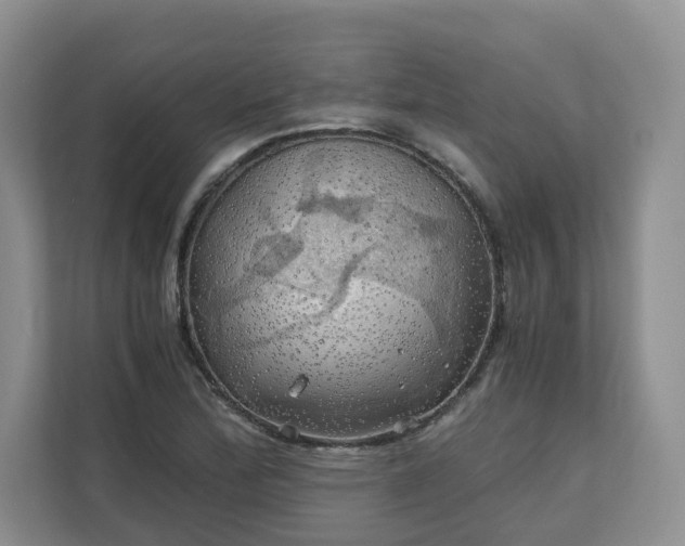 X0000111031172200907021532