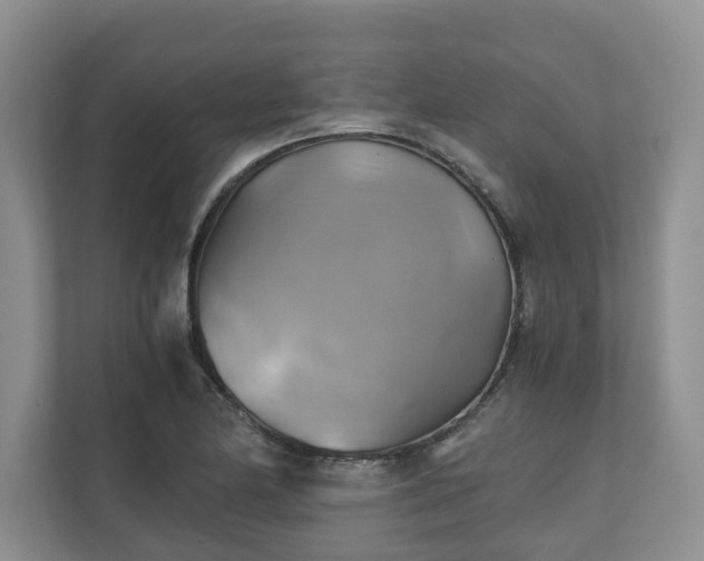 X0000111031174200907021532