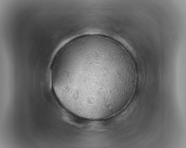 X0000111031175200907021532