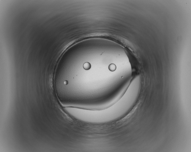 X0000111031177200907021532
