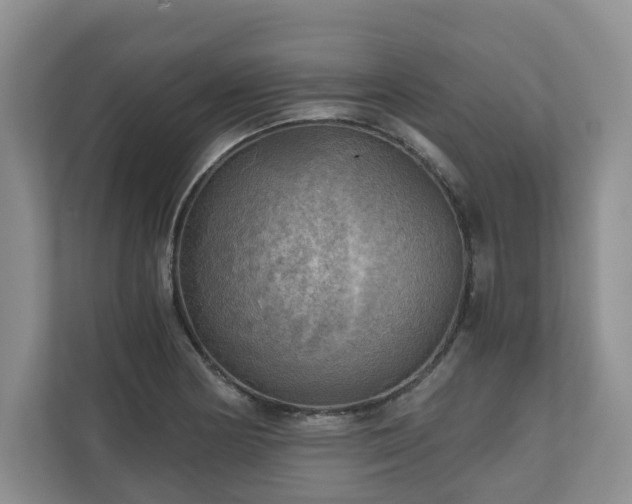 X0000111031178200907021532