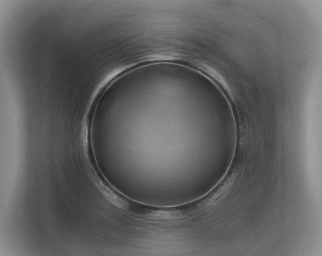 X0000111031179200907021532