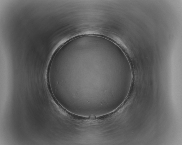 X0000111031181200907021532
