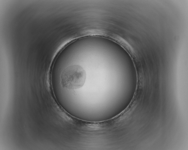 X0000111031182200907021532