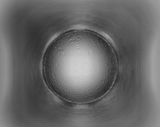 X0000111031183200907021532