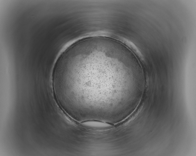 X0000111031184200907021532