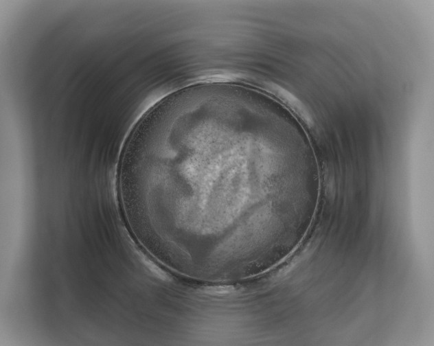 X0000111031186200907021532