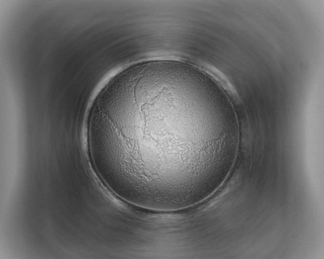 X0000111031188200907021532