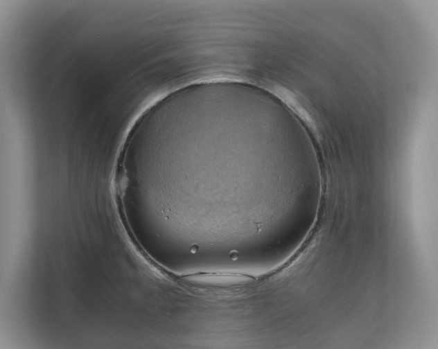 X0000111031189200907021532