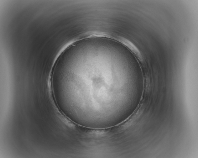 X0000111031190200907021532