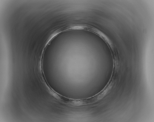 X0000111031194200907021532