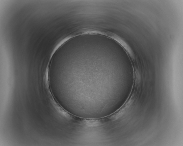 X0000111031198200907021532
