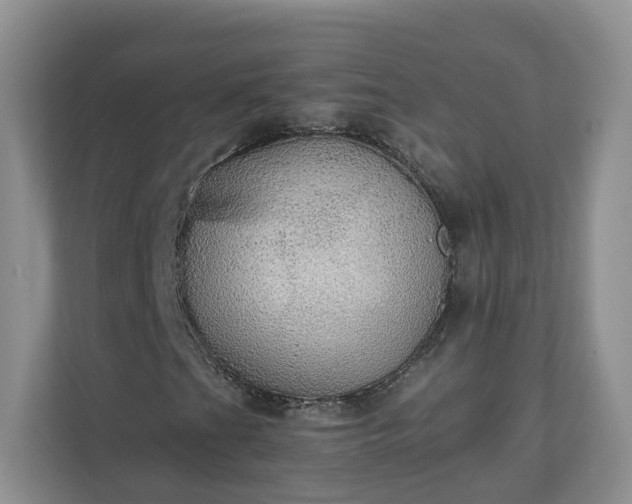 X0000111031201200907021531