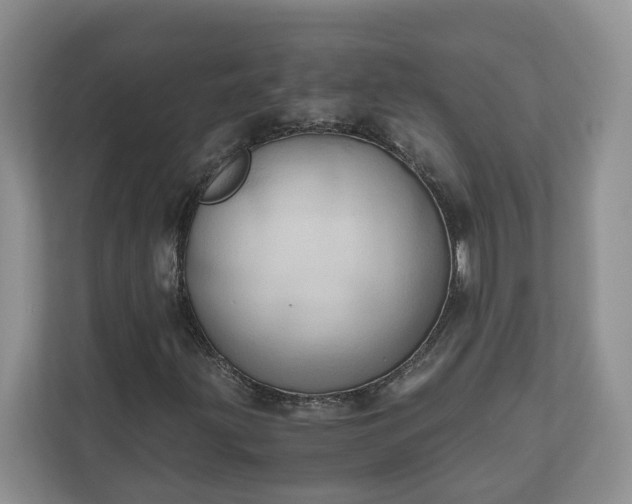 X0000111031203200907021531