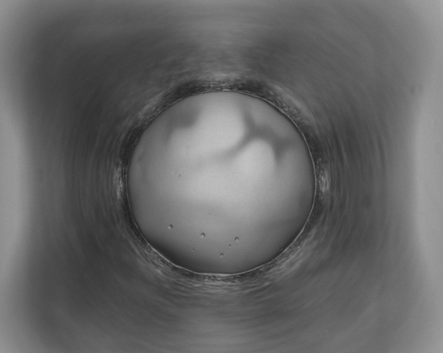 X0000111031204200907021531