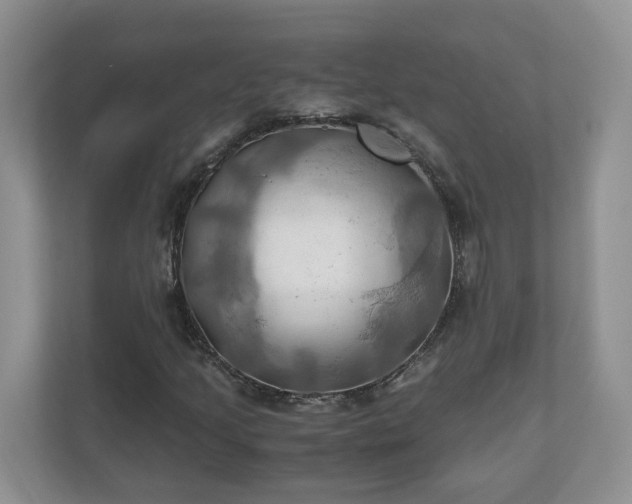 X0000111031205200907021531