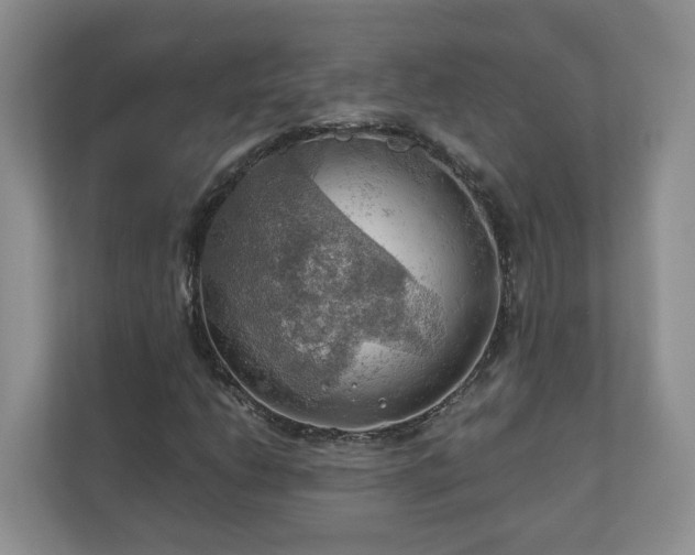X0000111031206200907021531