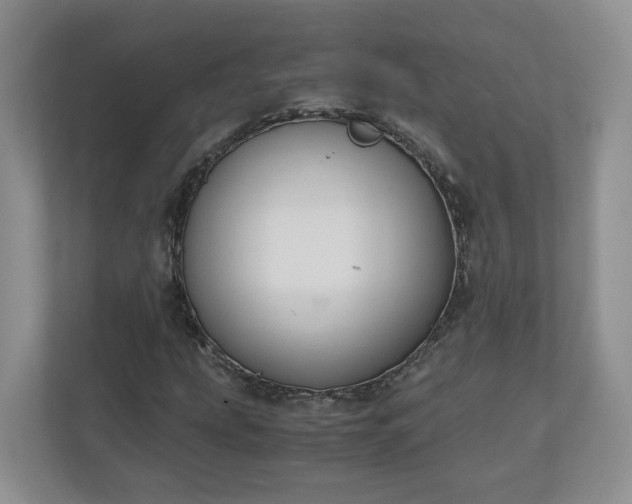 X0000111031207200907021531