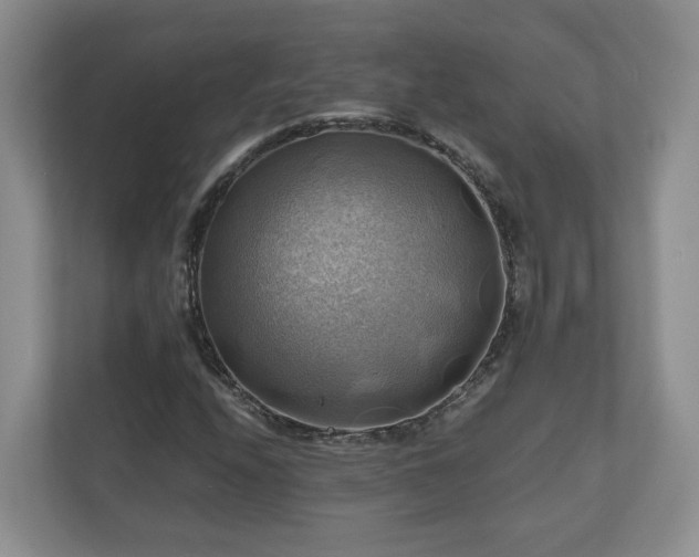 X0000111031208200907021531