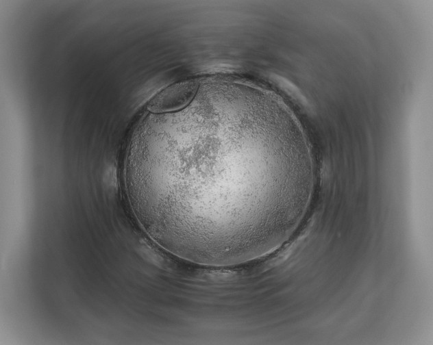 X0000111031209200907021531