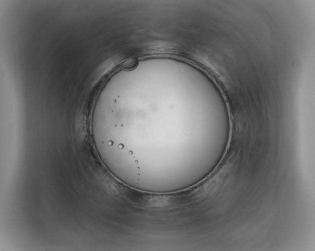 X0000111031211200907021531