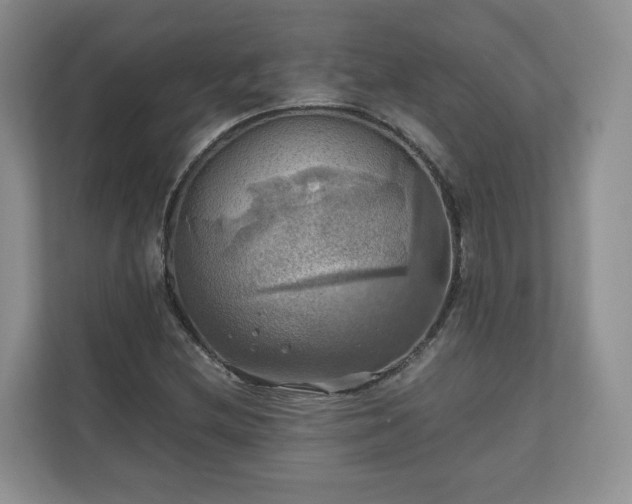 X0000111031212200907021531