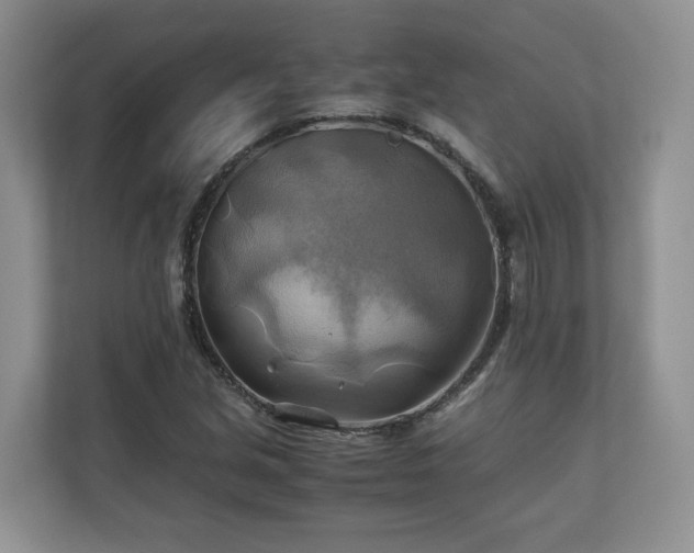 X0000111031213200907021531