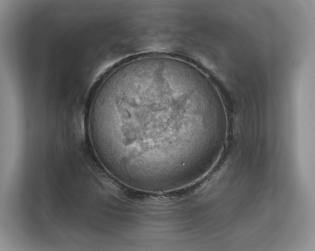 X0000111031214200907021531