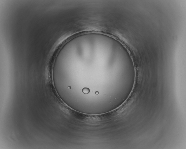 X0000111031215200907021531
