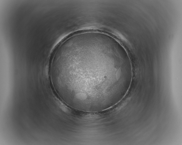X0000111031216200907021531