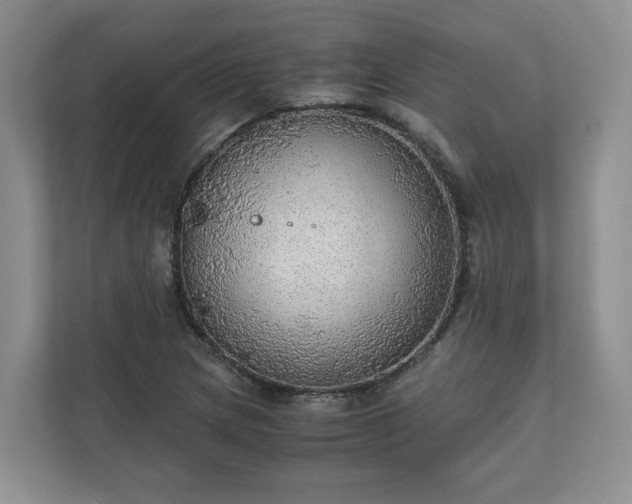 X0000111031217200907021531