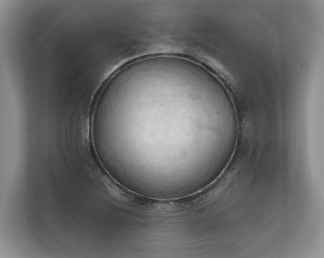 X0000111031220200907021531