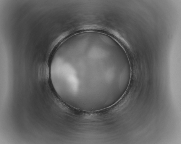 X0000111031221200907021531