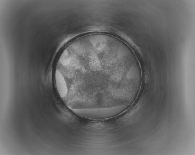 X0000111031222200907021531