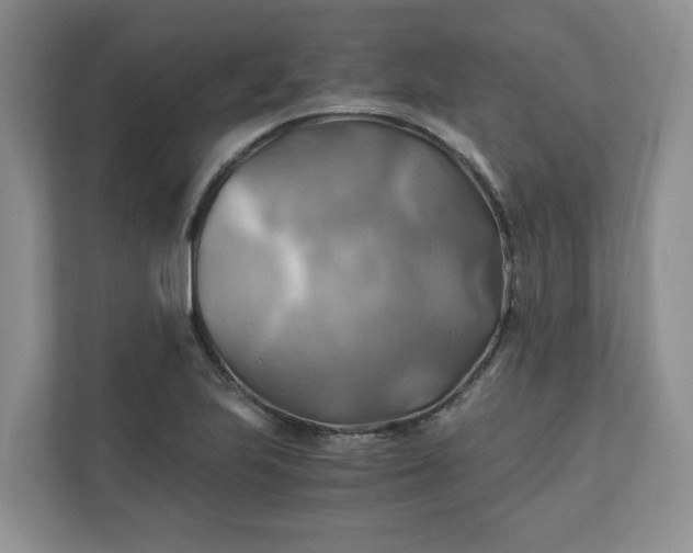 X0000111031223200907021531