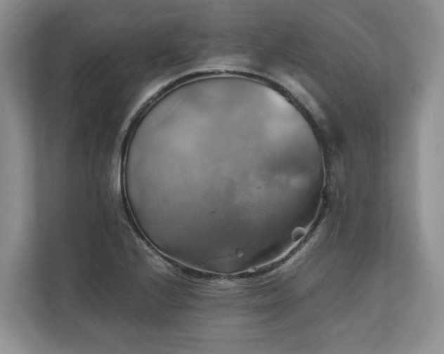 X0000111031224200907021531