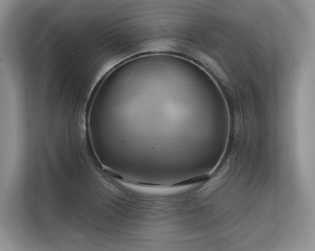 X0000111031226200907021531