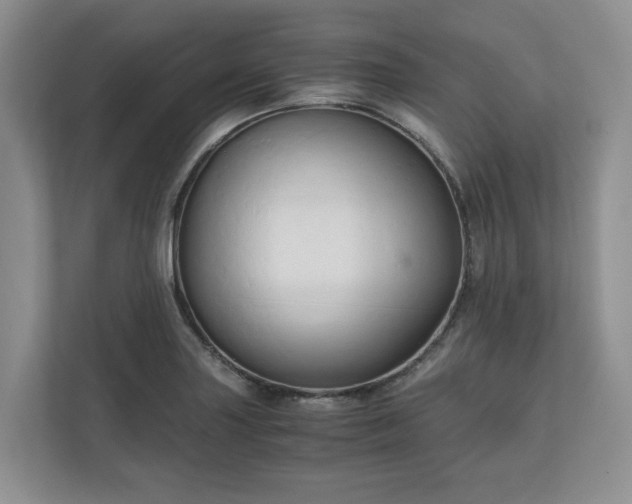 X0000111031227200907021531
