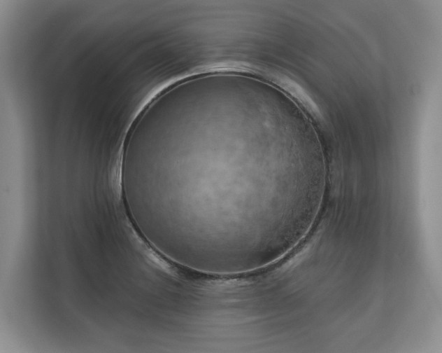 X0000111031228200907021531