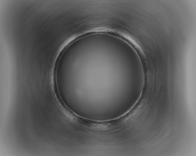 X0000111031229200907021531