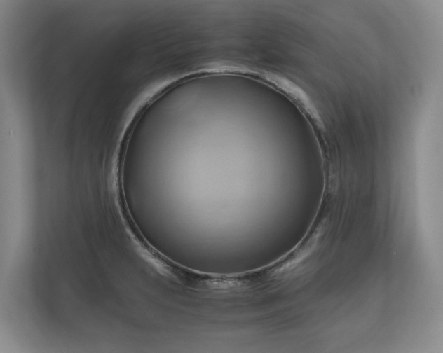 X0000111031231200907021531