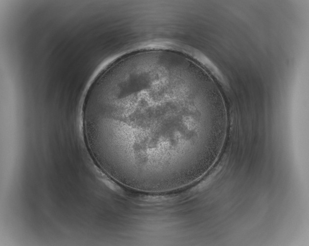 X0000111031232200907021531