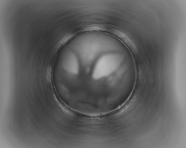 X0000111031233200907021532