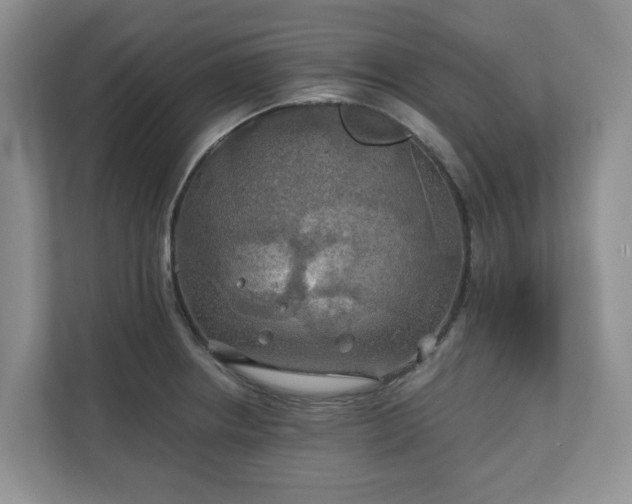 X0000111031234200907021532