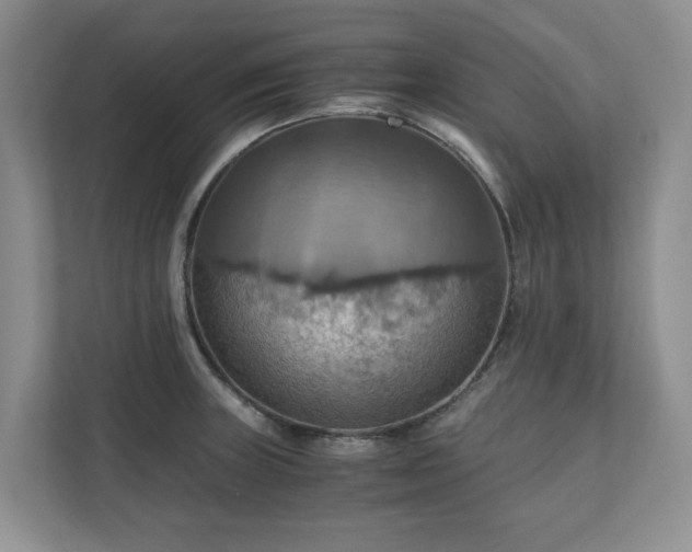 X0000111031235200907021532